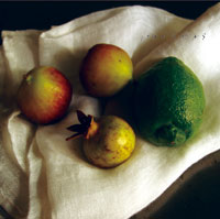 陽だまりの呼吸 ジャケット