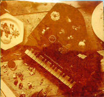 陽だまりの呼吸 ジャケット